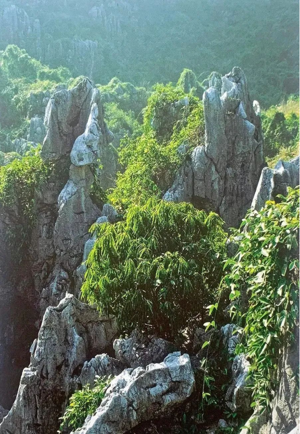 今日热瓜吃瓜每日更新 内容分层上加强建设