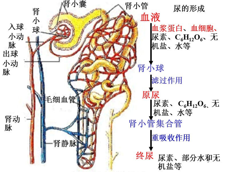 寸止骰子惩罚 寸止为了能更好地帮助您