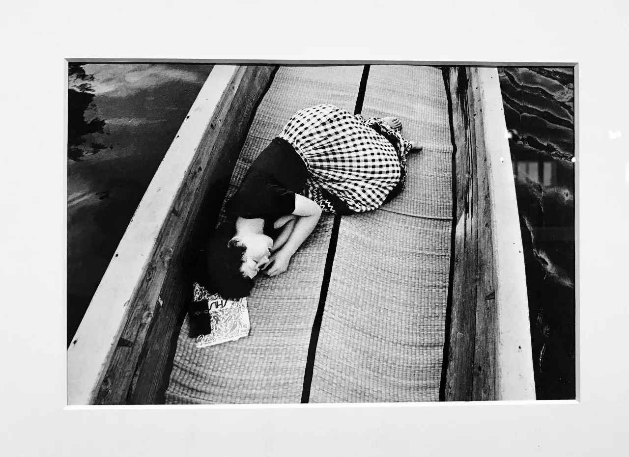 苏语棠三女闹元宵 闹元使用体验实际使用中