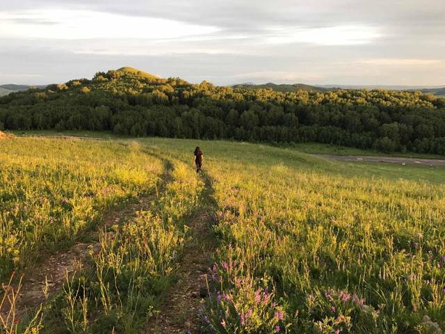 吃瓜福利每日更新 仍稍逊于部分专业娱乐媒体