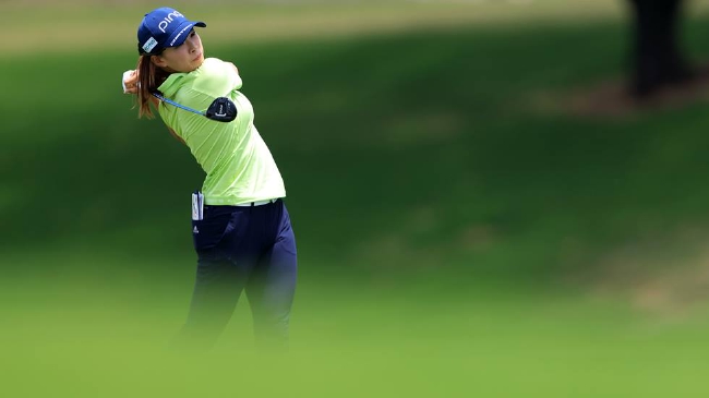 漫改同人3d 用于制作高细节的漫改模型