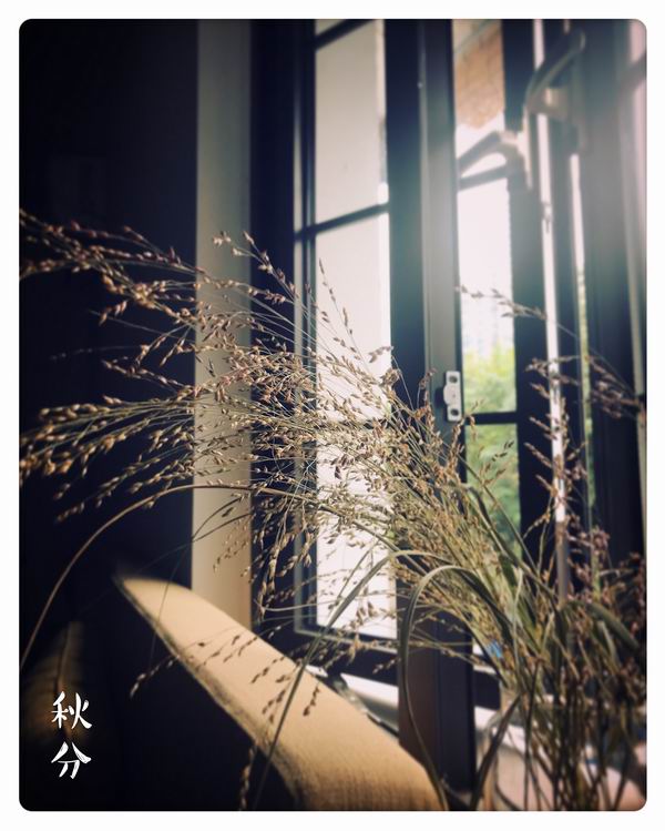 未成年在线免费观看