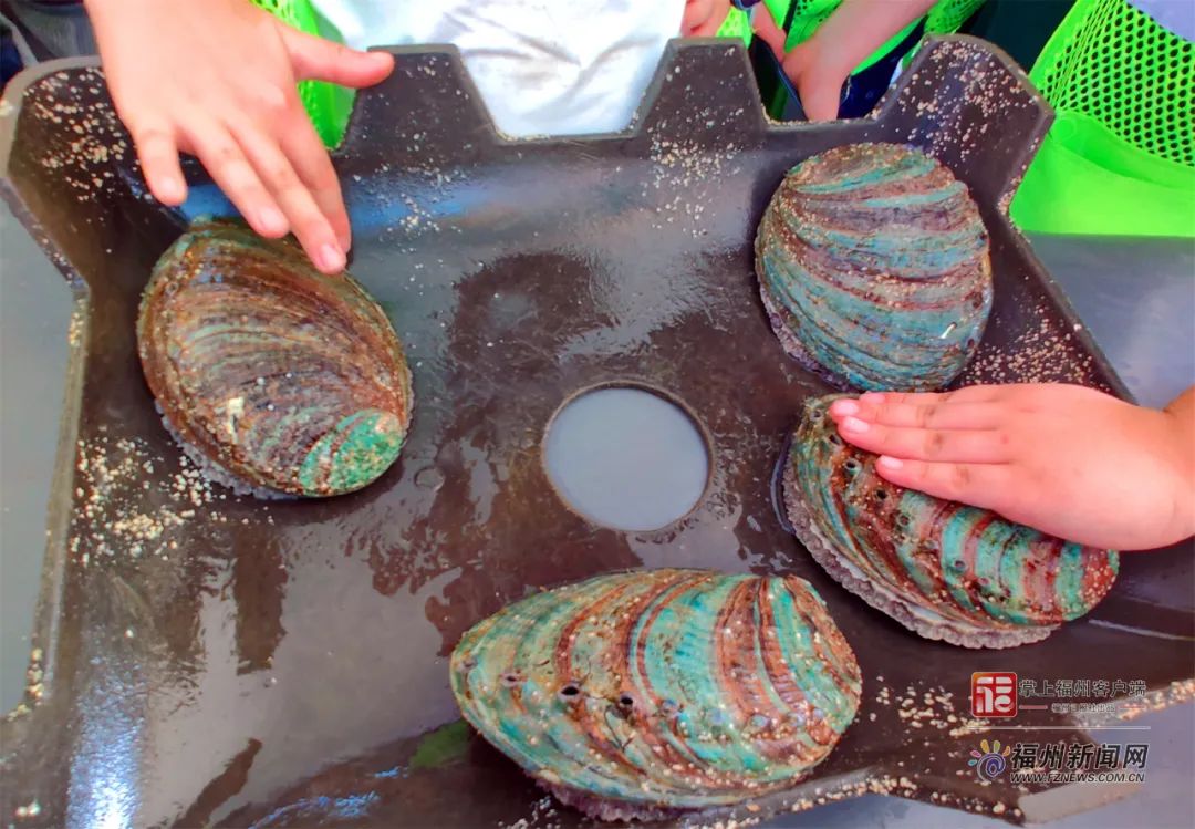 久久久亚洲av无码精品一区