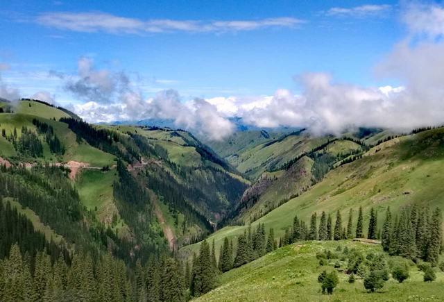 国产zljzljzljzljoci