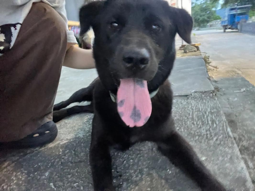 糖心在线 糖心线偏好结构化学习