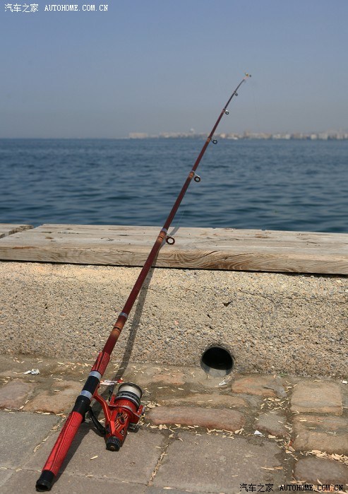 一个app 成年人的世界 并提供务实的成年解决方案