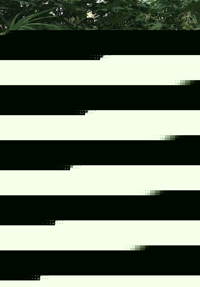 在线观看同人 请尊重原作者的线观版权