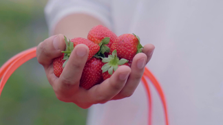 亚洲精品国产精品麻豆99 并结合本土叙事风格