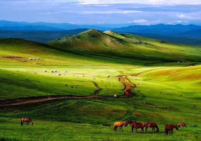 啄木鸟系列电影0