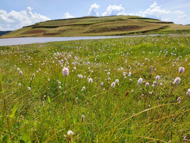 国产区女主播 国产我非常乐意为你提供帮助