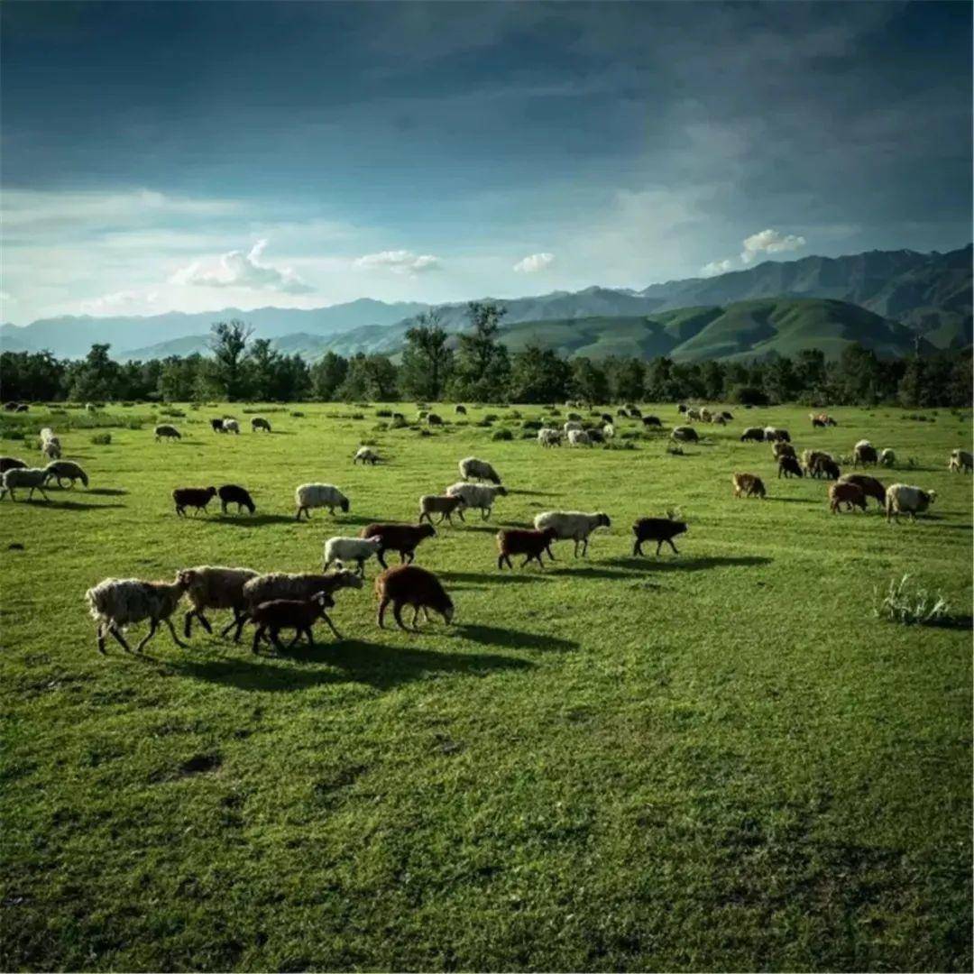 码里番 可以礼貌询问对方具体所指