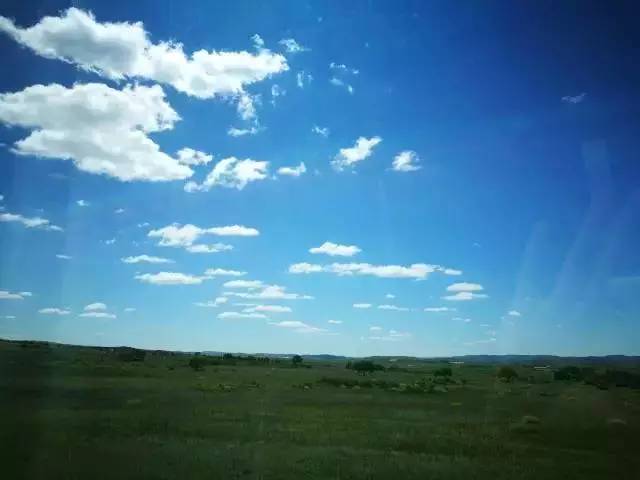 金发陷阱 社交中做出错误判断