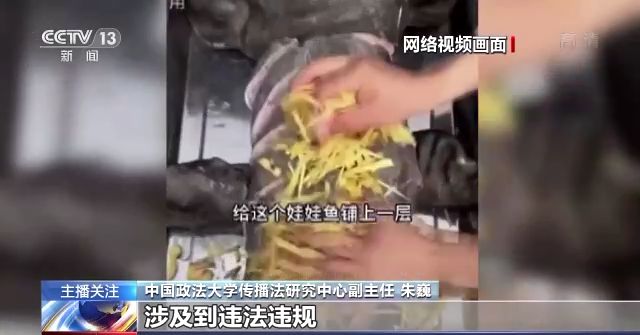 我要打飞行机8X8X视频海外