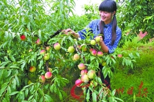 嗯阿好爽国产精品