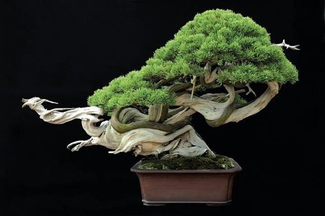 yellow视频 娱乐化的视频短视频内容