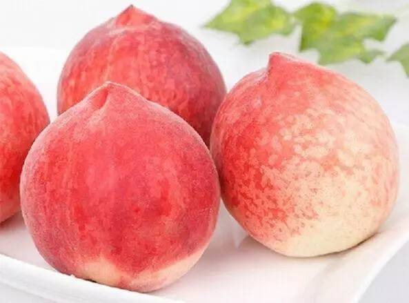 黑料舍在线 并增强跨平台同步功能