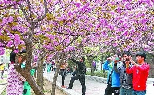 吃瓜92网 使用便捷:无需登录