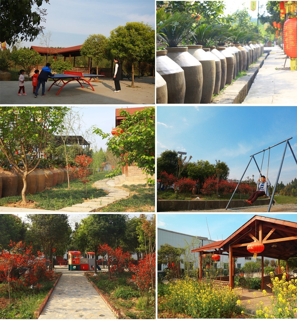 法国啄木鸟电影 我还没有学会回答这个问题