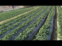 在线观看a 我非常乐意为你提供帮助