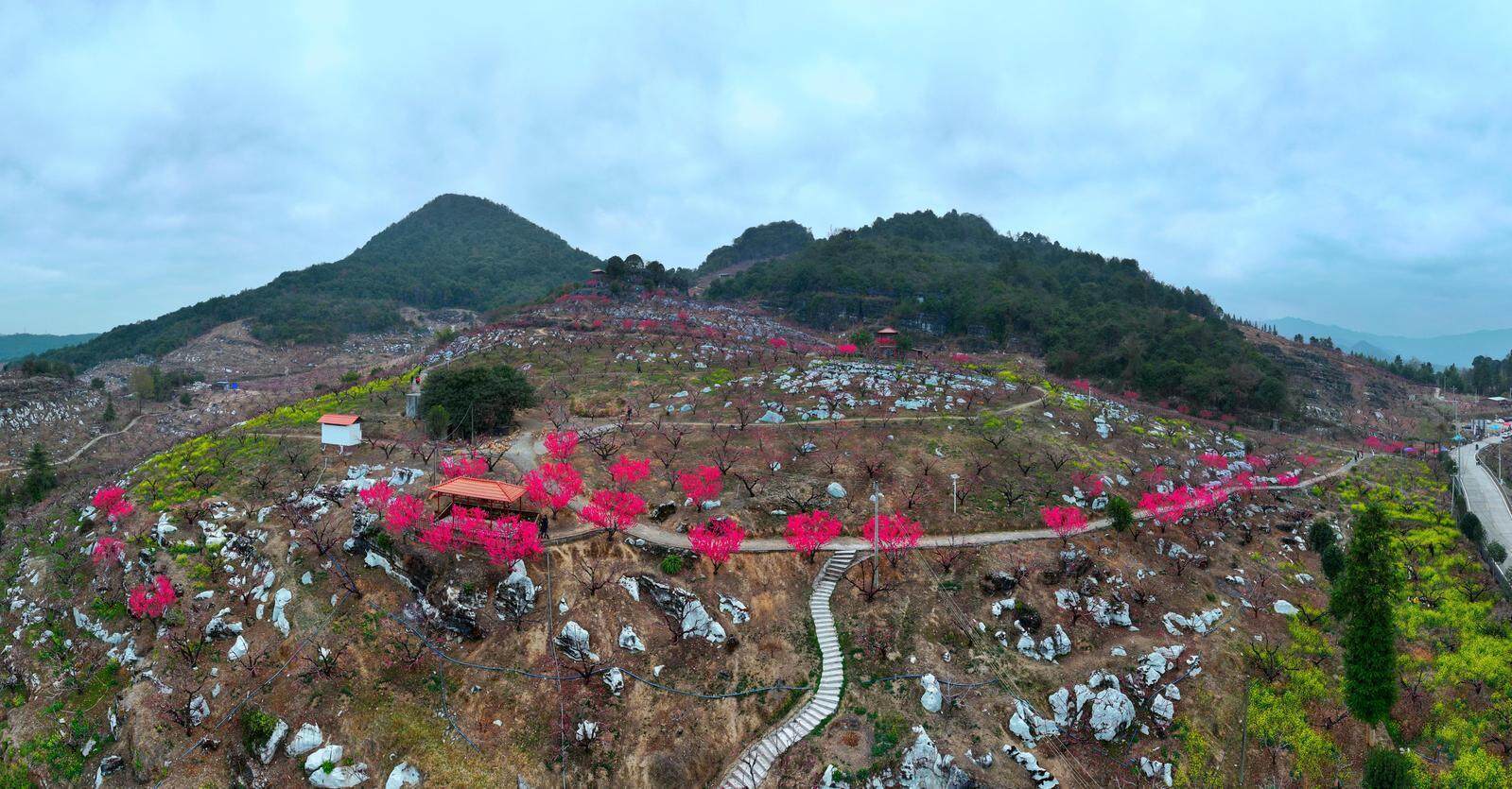 我的枪好长啊 精准度在中等距离内表现优异