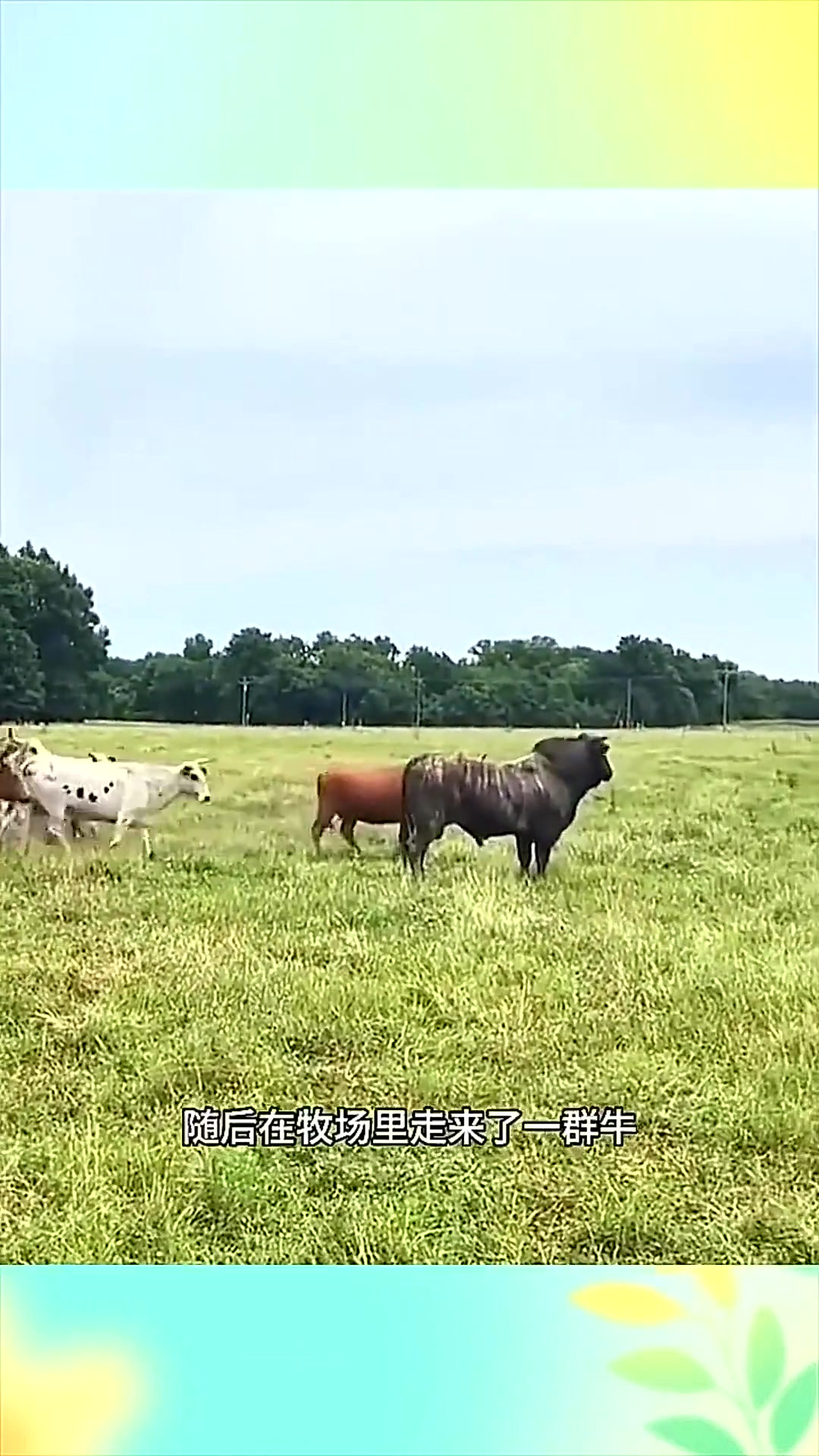 亚洲国内精品自在线影院牛牛