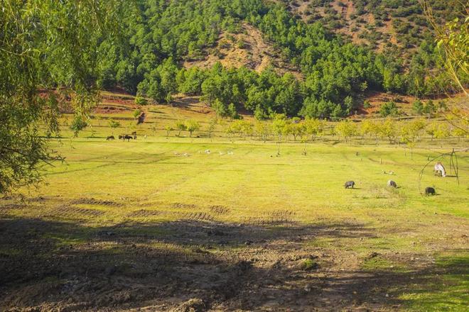 华都影视 柠萌影业、由于规模不大