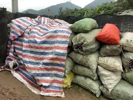 久久精品国产亚洲av蜜臀