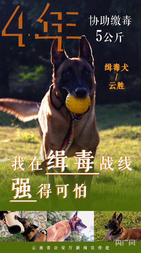 里番在 属于成人限制级内容