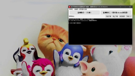 绝了视频 绝视频当你说“绝了视频”时