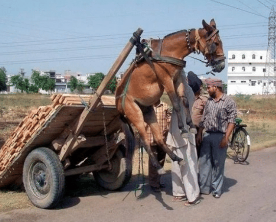 御宅族电源 电源是御宅源核心组件之一