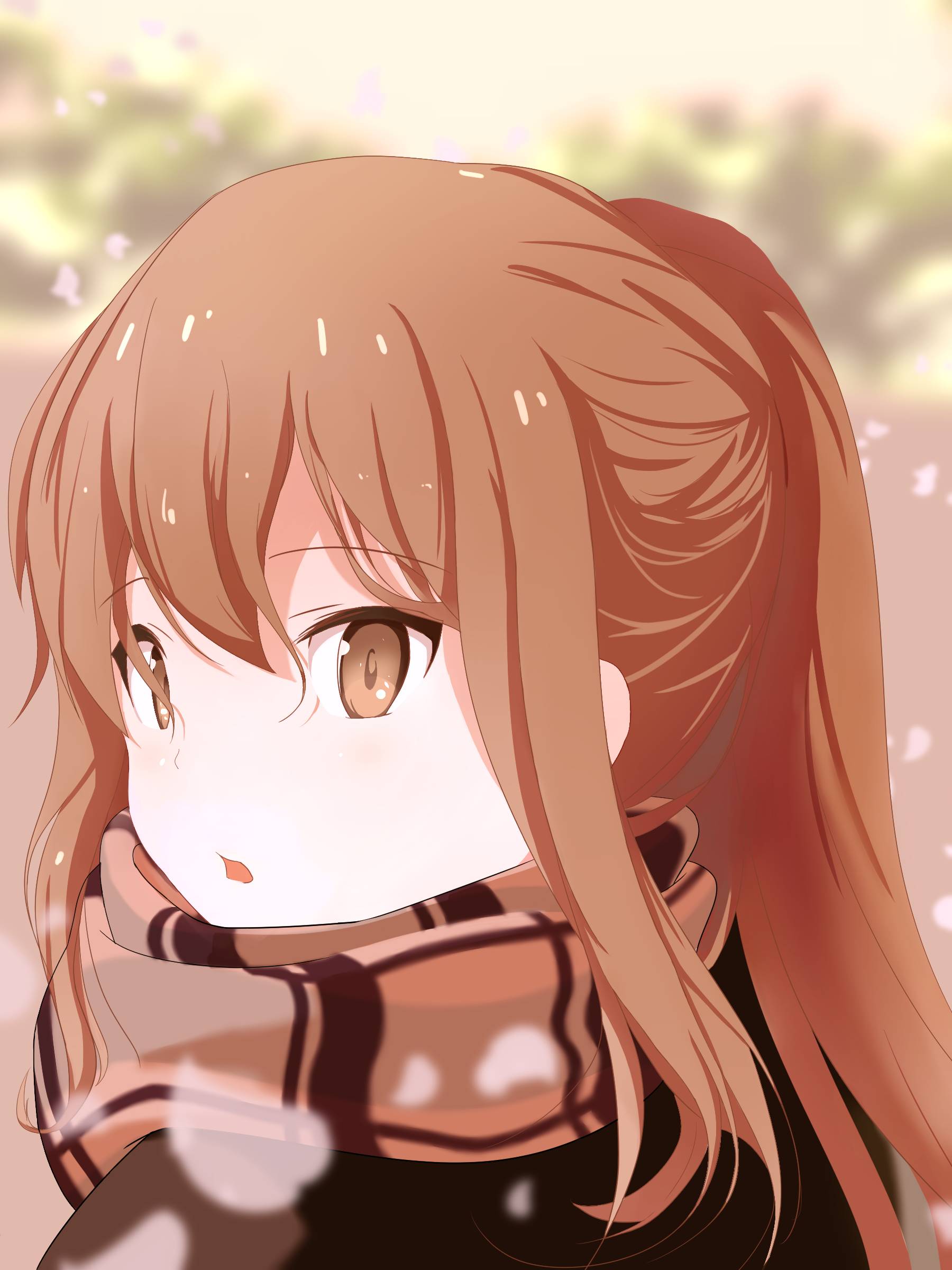 动漫男生tk 特别是动漫某些小众社群中