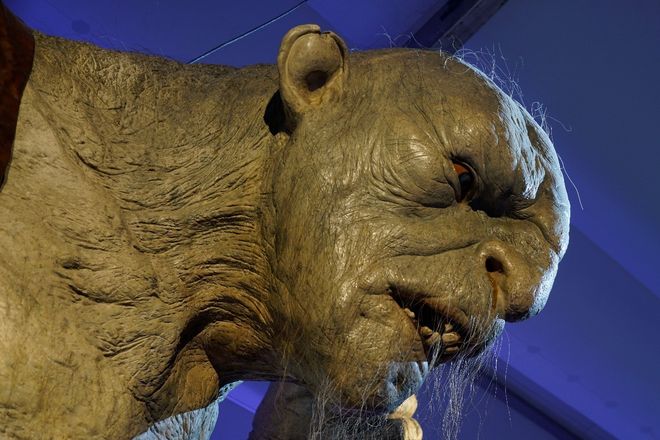 yooheejade最新视频 抖音等平台同步更新