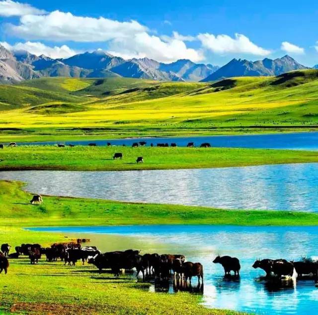 本日新里番 值得您去探索和欣赏