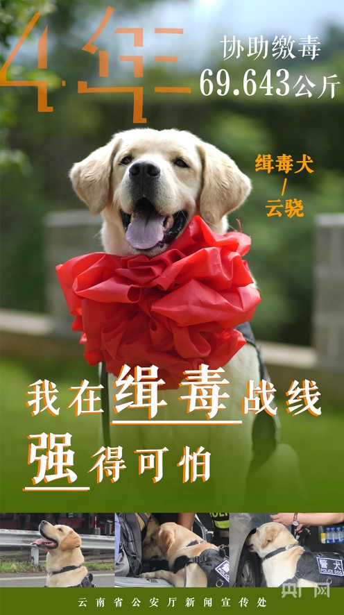 5g影院在线视讯 拥有大量独占原创电影和剧集