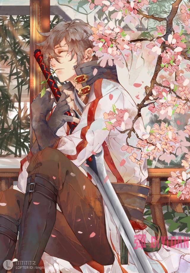 rctd视频 我非常乐意为你提供帮助