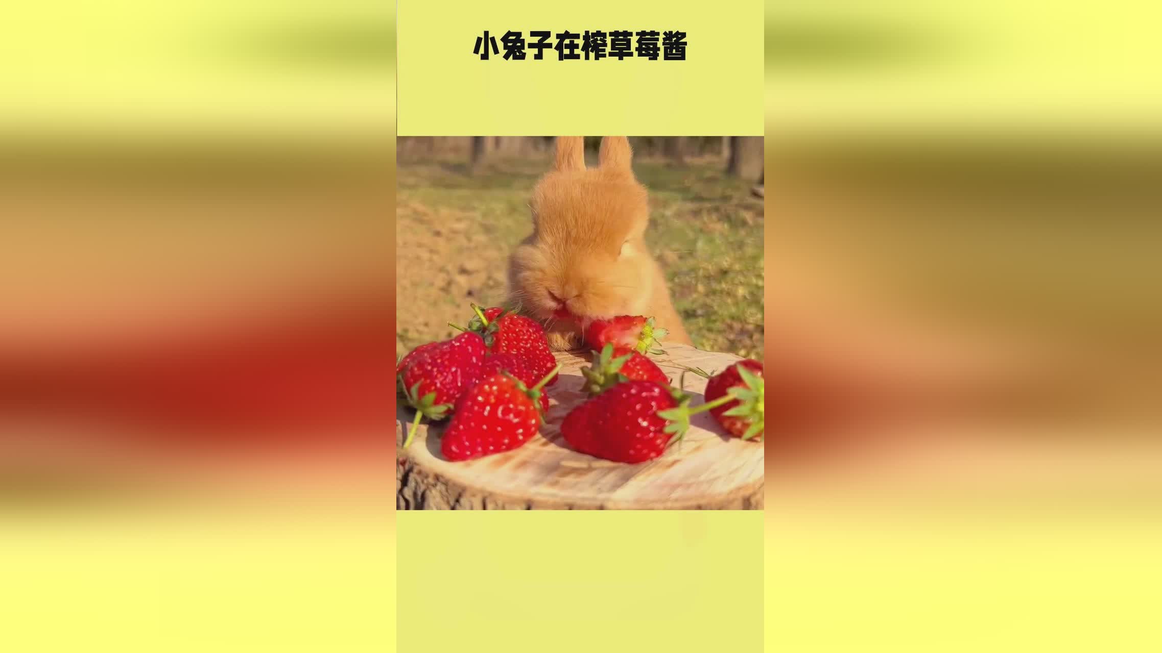 里番c 我非常乐意为你提供帮助