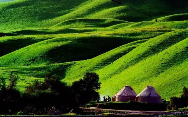 绿帽社小说 绿帽更新机制依赖社区投稿