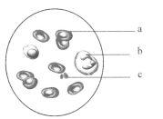 国产欧美理论 理论对于目标用户而言