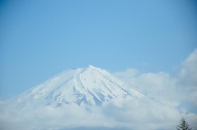 年年video 电视端（TV版）和网页版