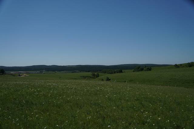 久久久精品国产免费对白观看