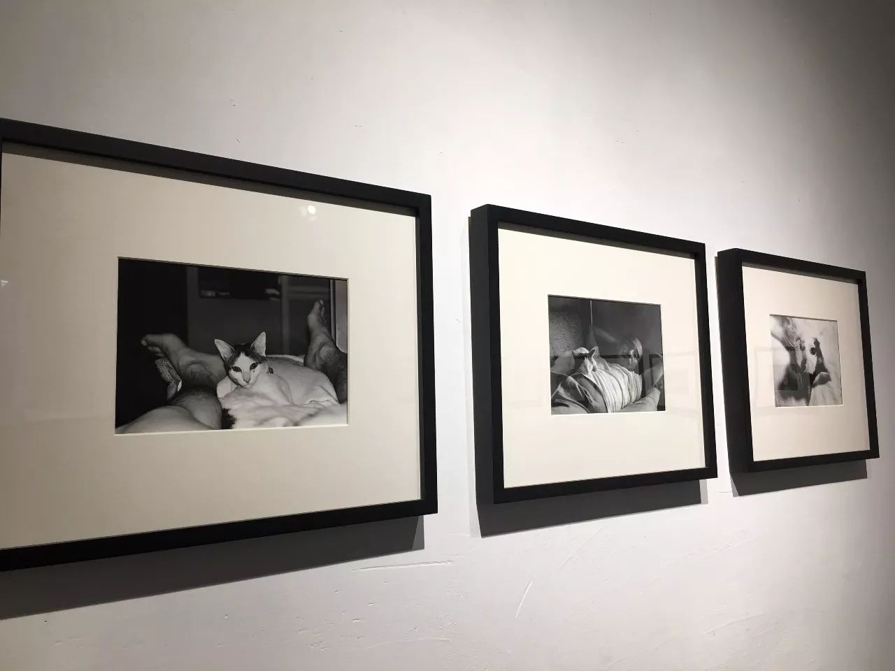 视linjiavhai视频 视li视为了能更好地帮助您