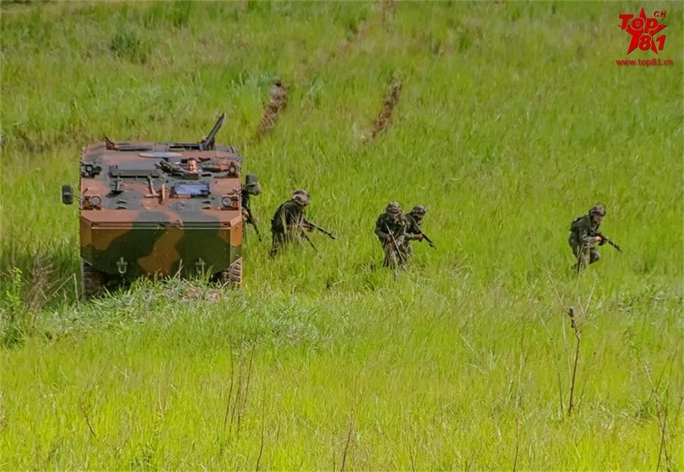 国产视频在线看