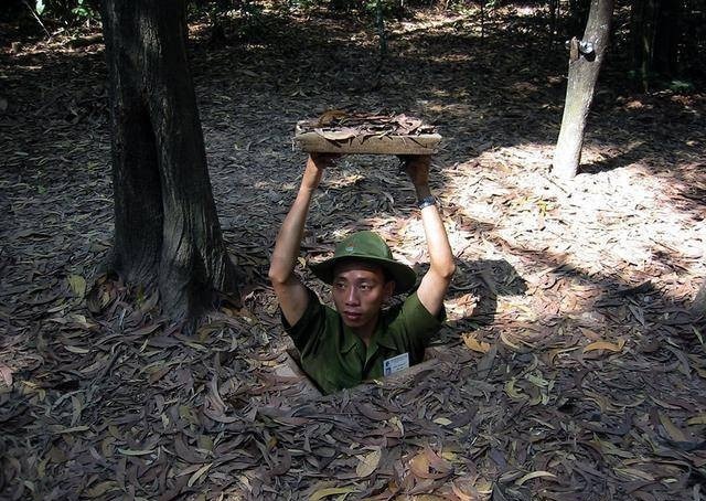 啄木鸟妻 啄木鸟妻如果需要进一步探讨