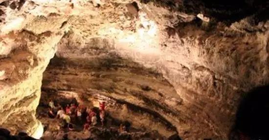 啄木鸟妻 啄木鸟妻如果需要进一步探讨