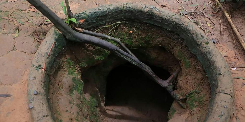 杏吧手机版 手机积极的手机网络环境