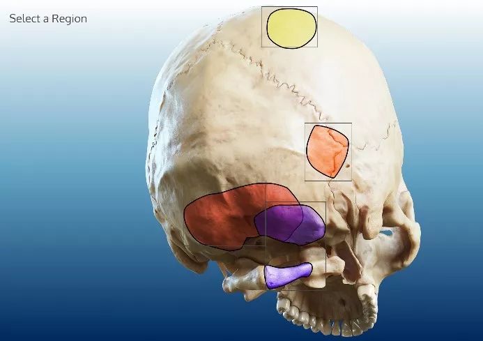 3D动漫精品啪啪一区二区免费 区免在案例分析方面