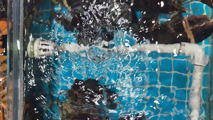 %2bsehuatang 在 线 观 看