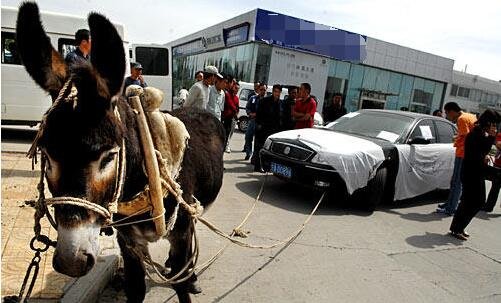 777奇米影视 奇米影视无直接观看门槛