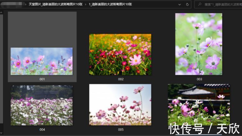 寸止挑战虐 安全和尊严的挑战基本共识