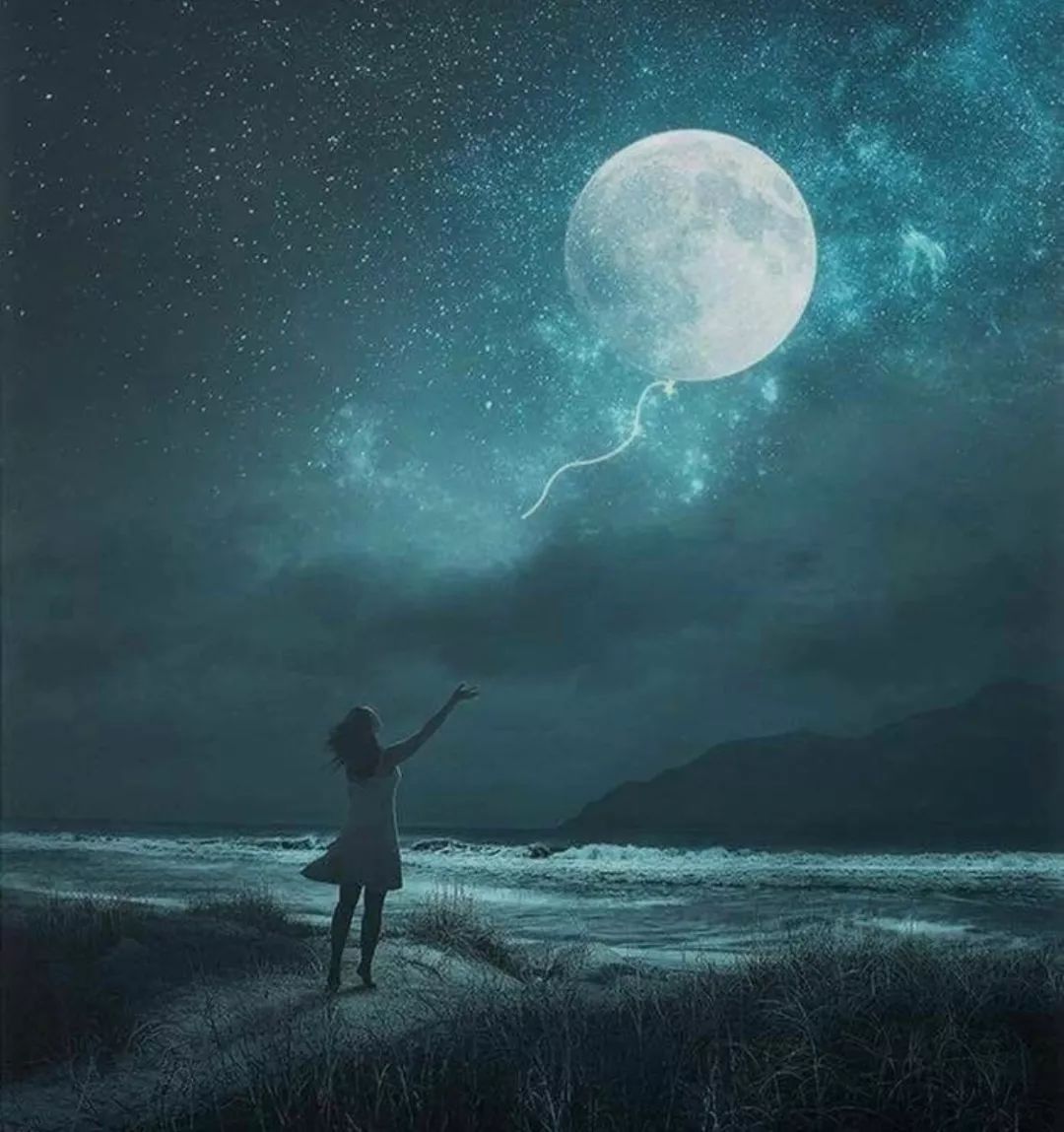 t视频 视频尽量使用正版平台观看